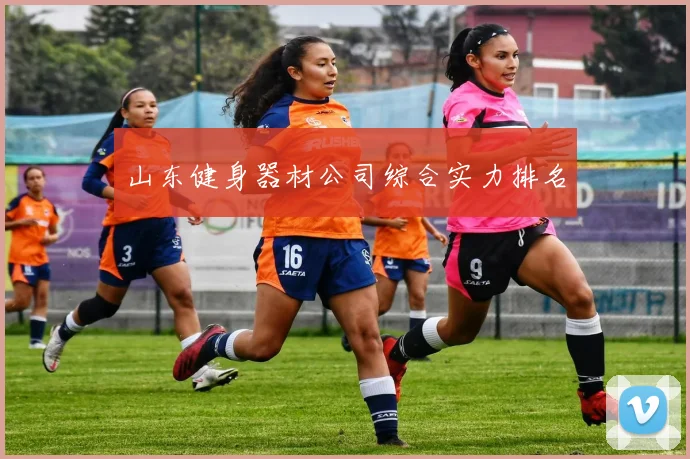 山东健身器材公司综合实力排名