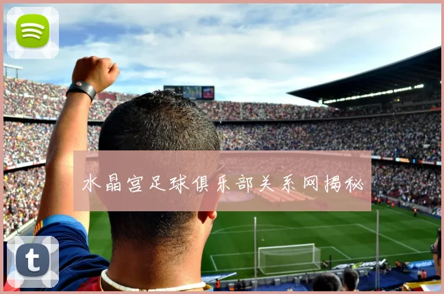 水晶宫足球俱乐部关系网揭秘